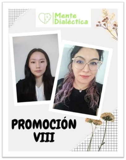 Promoción VIII